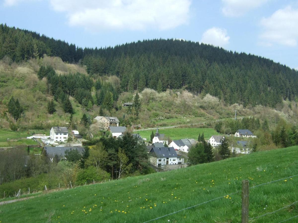 Lavish Apartment In Merschbach Near The Forest Extérieur photo